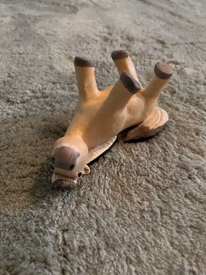 Rullande knubbis fjording