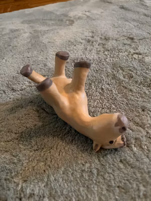 Rullande knubbis fjording