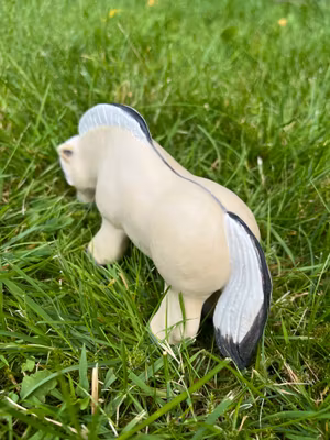 Betande knubbis fjording