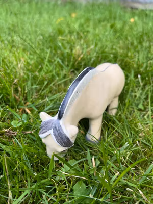 Betande knubbis fjording