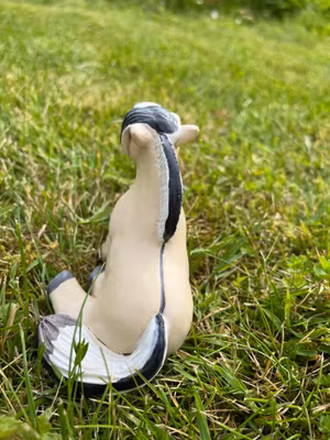 Sittande Knubbis fjording