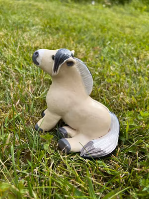 Sittande Knubbis fjording