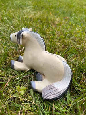 Liggande knubbis fjording