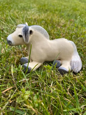 Liggande knubbis fjording