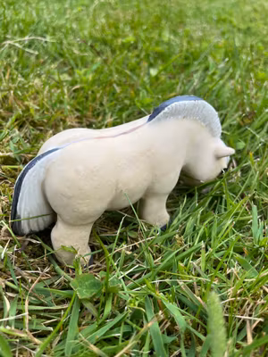 Betande knubbis fjording