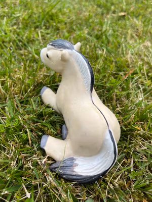 Liggande knubbis fjording