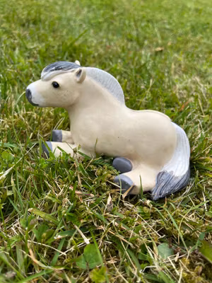 Liggande knubbis fjording