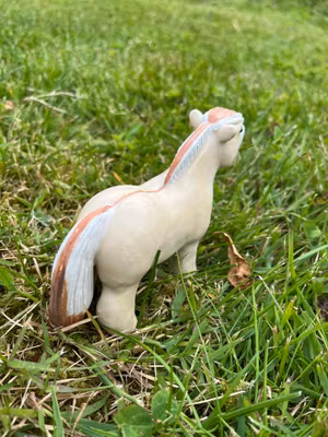 Rödblack knubbis fjording.