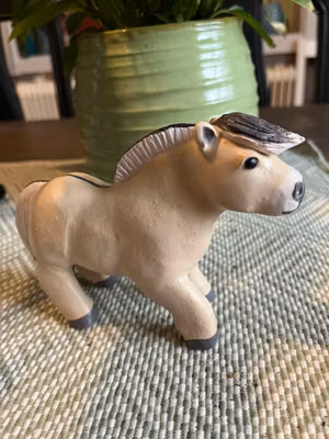 Galopperande knubbis fjording