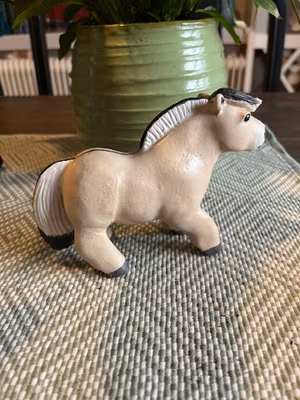 Galopperande knubbis fjording