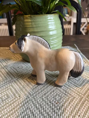 Travande fjording knubbis