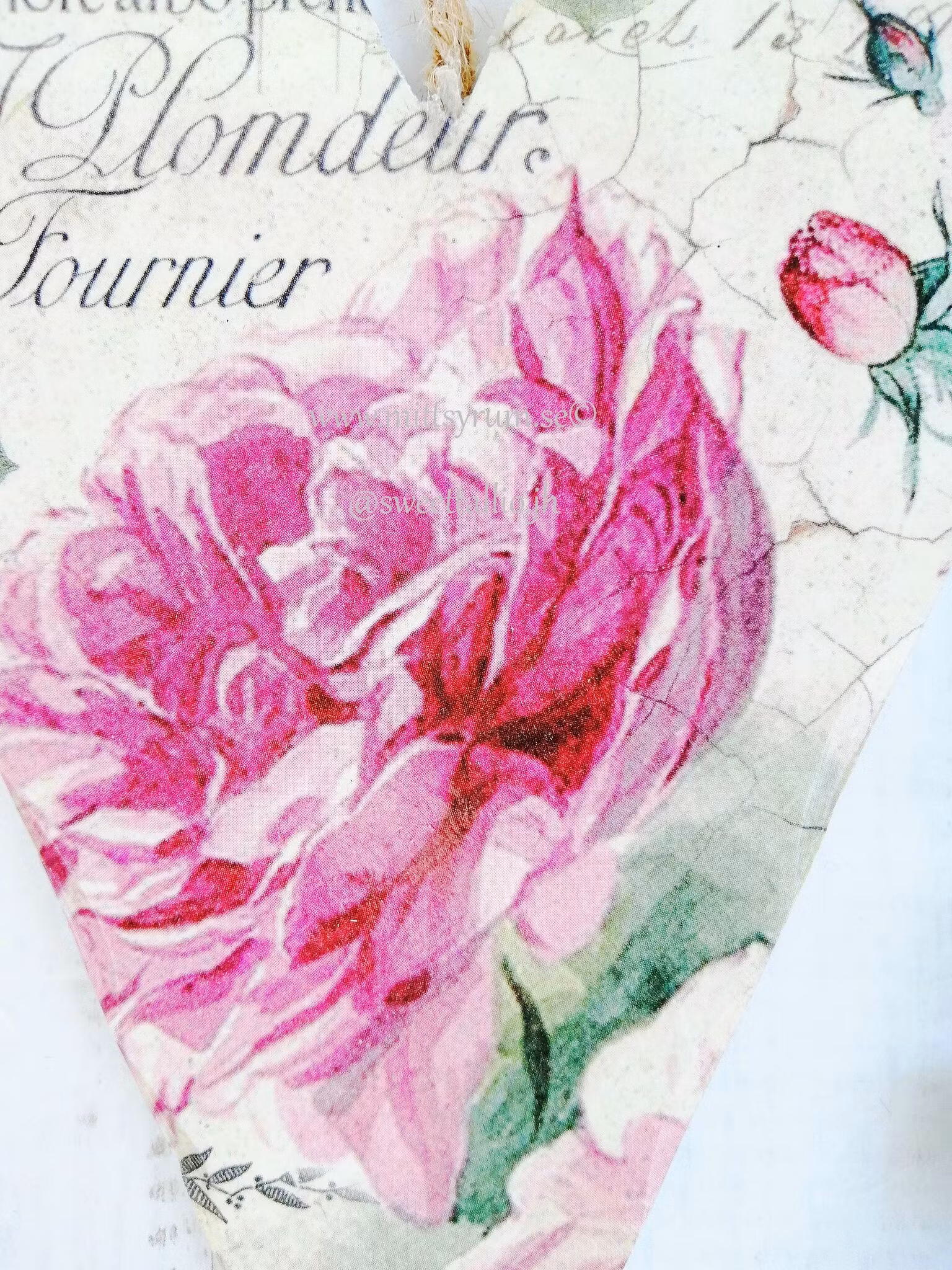 Trähjärta Old English rose