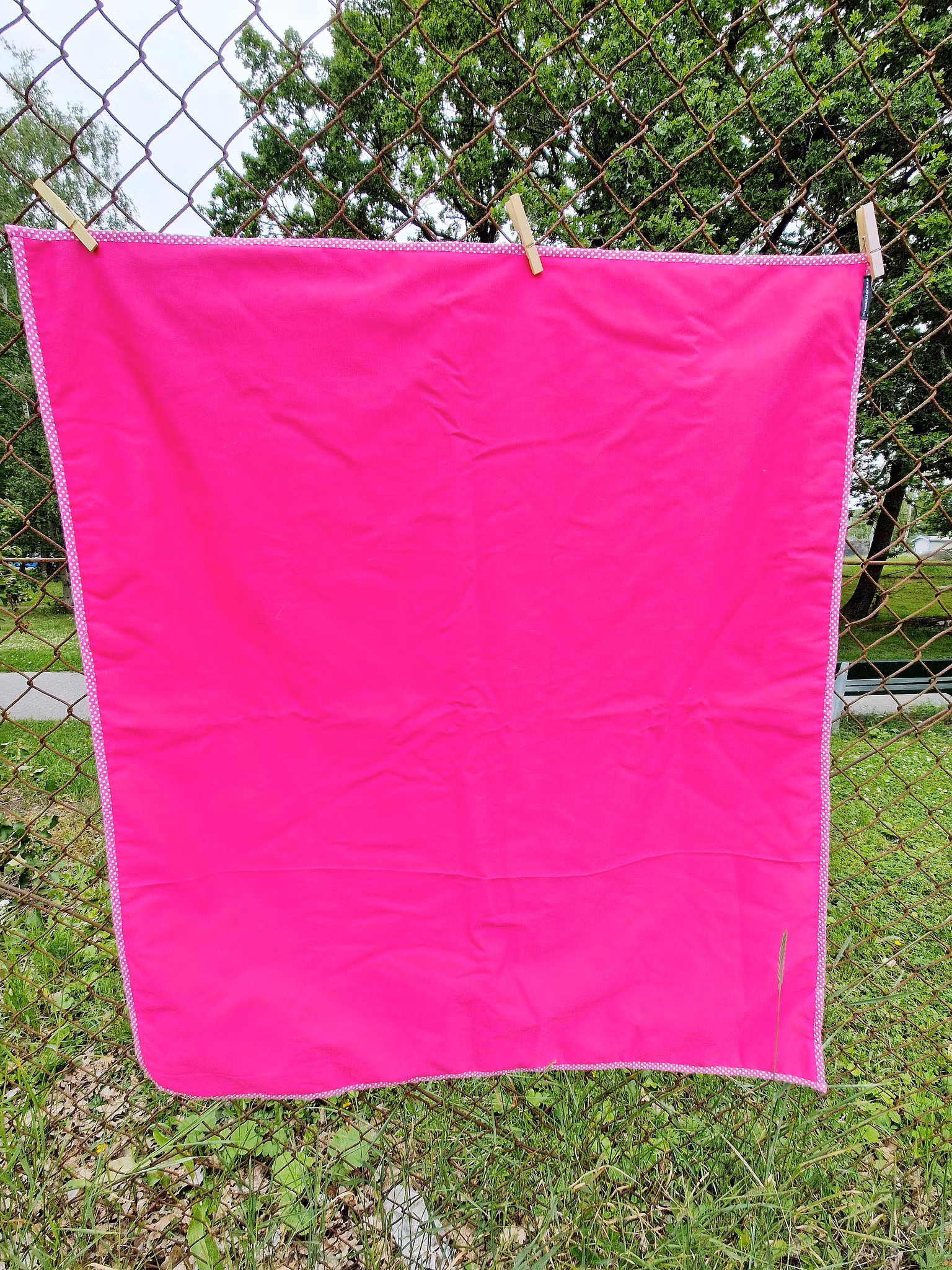 Filt Törnrosa