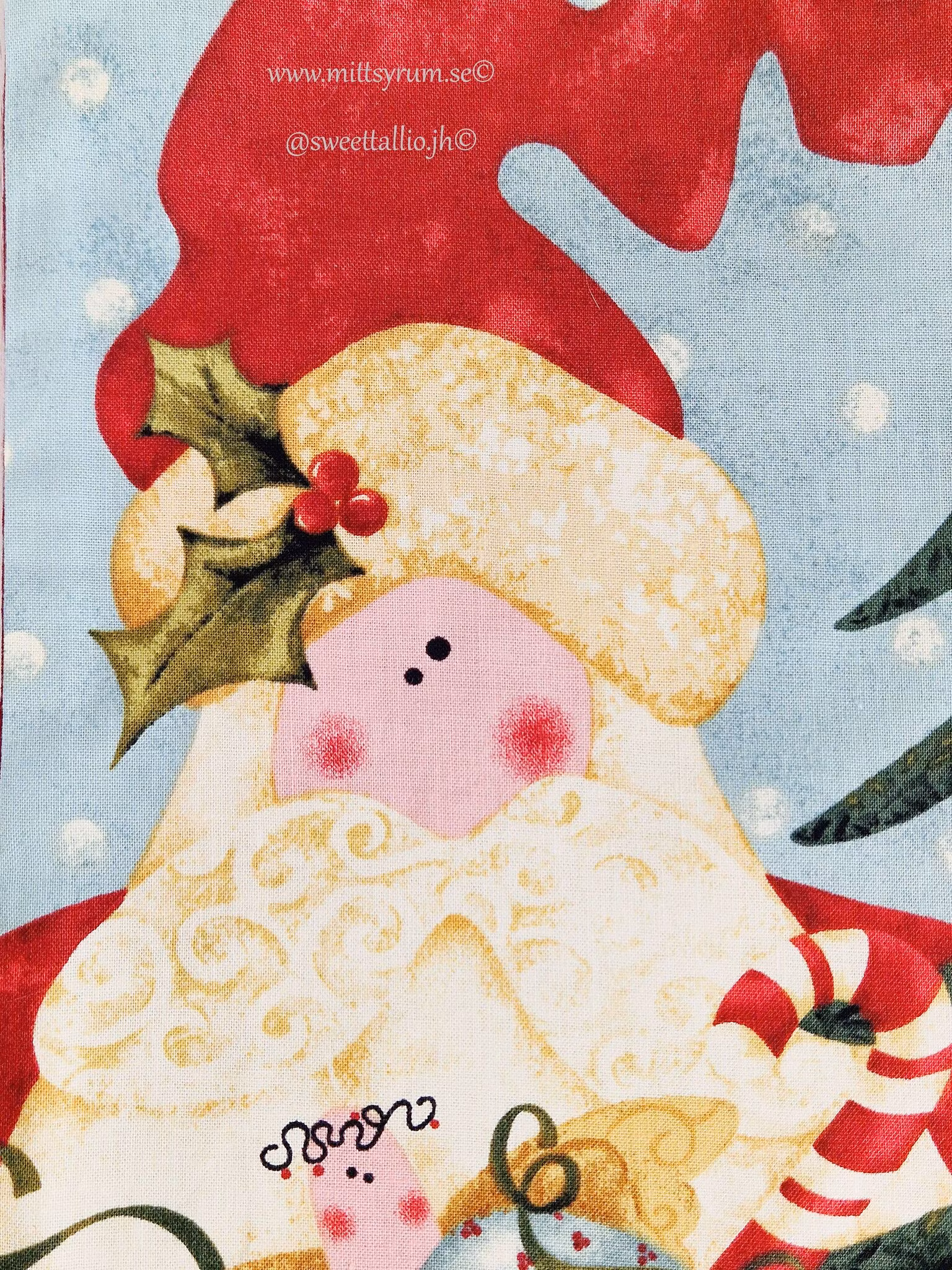 Julpåse Tomte