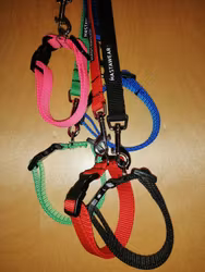 Reglerbara halsband 15 -20 mm