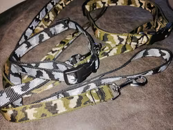 Reglerbart halsband i camo 20 mm