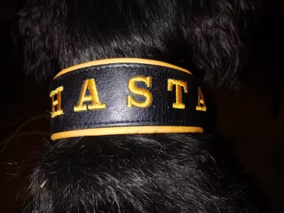 Hastawear
