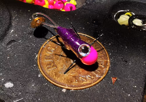TFISH PINK AND PURPLE CRITTER