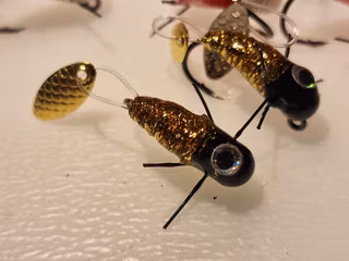 TFISH CRITTER GOLDEN