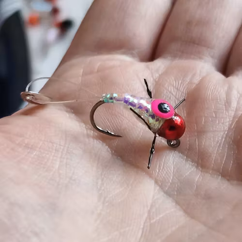 TFISH CRITTER Pärlemo big pinkeye