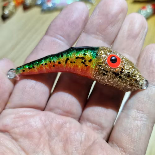 TFISH VALROSSEN Firetiger Gold