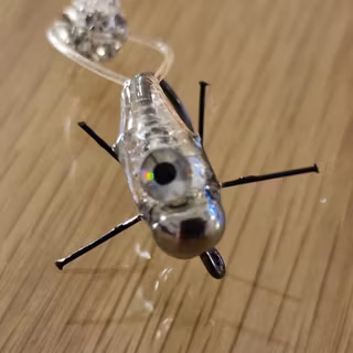 TFISH CRITTER INVISIBLE
