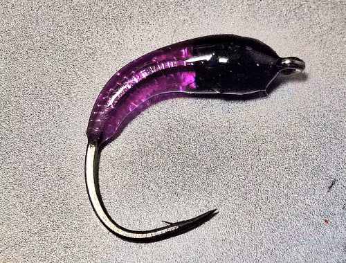 TFISH PURPLE BLOODWORM