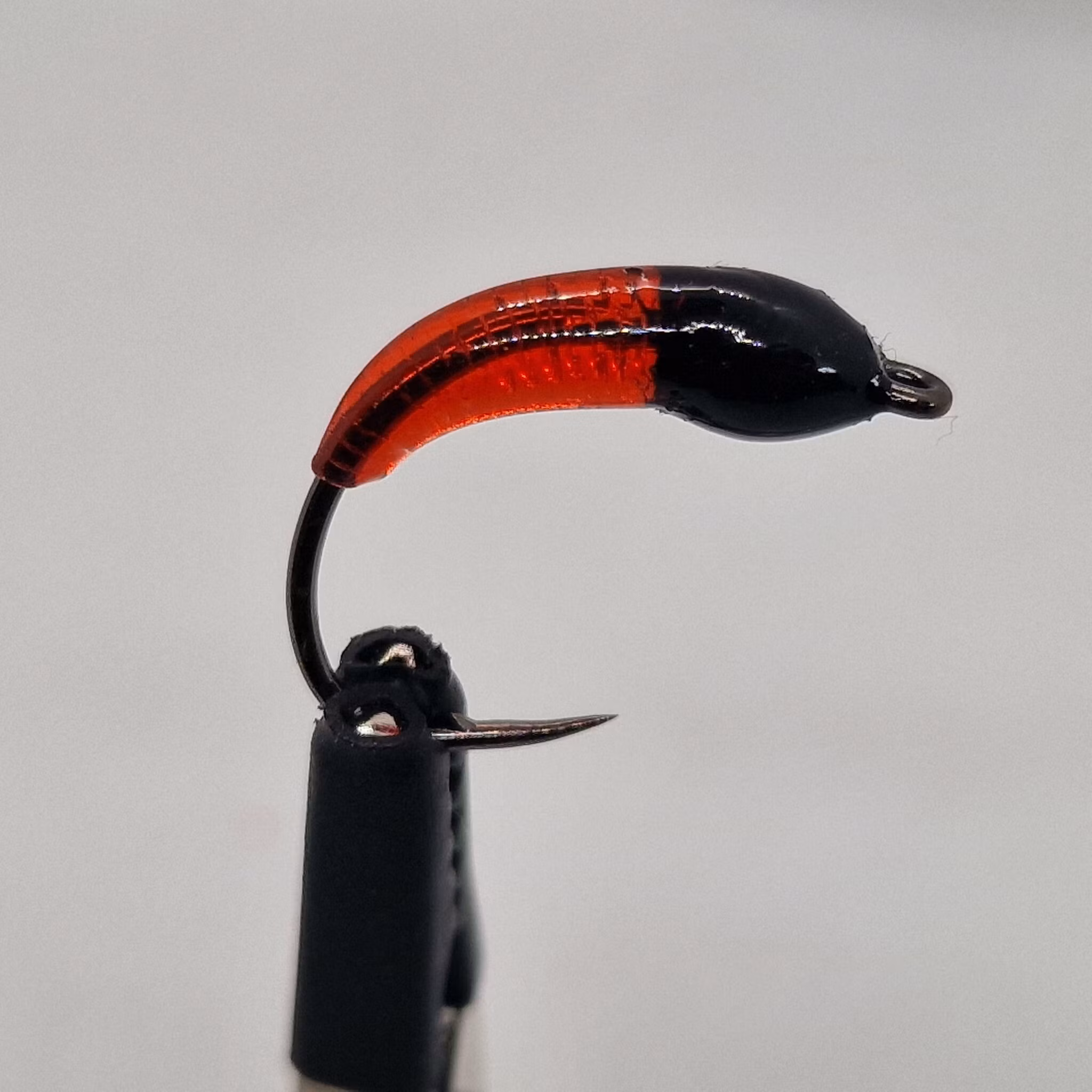 TFISH BLOODWORM SHORT