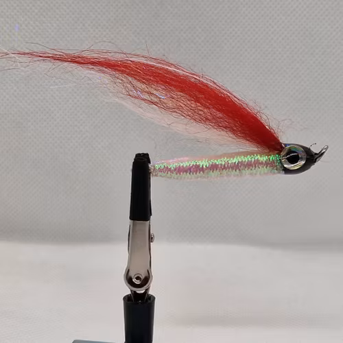 TFISH REELRIPPER  RED AND WHITE