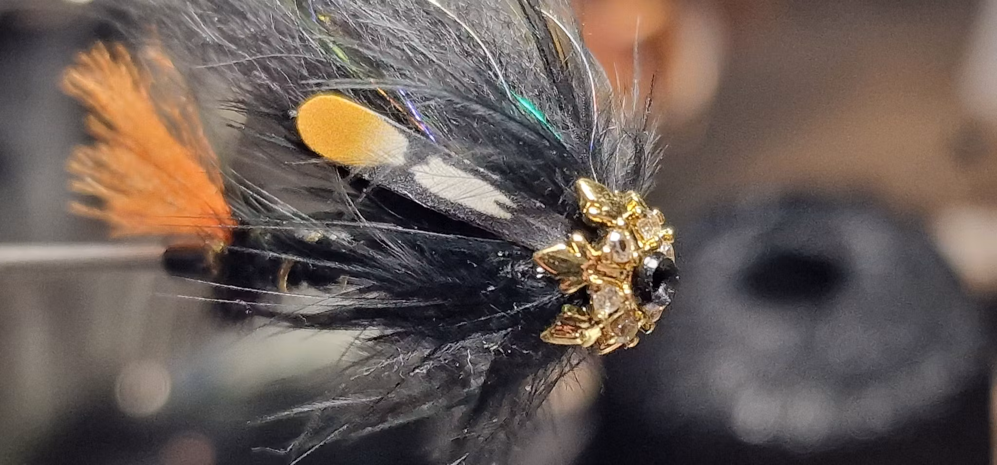 Black and Orange  Dragon Dragon