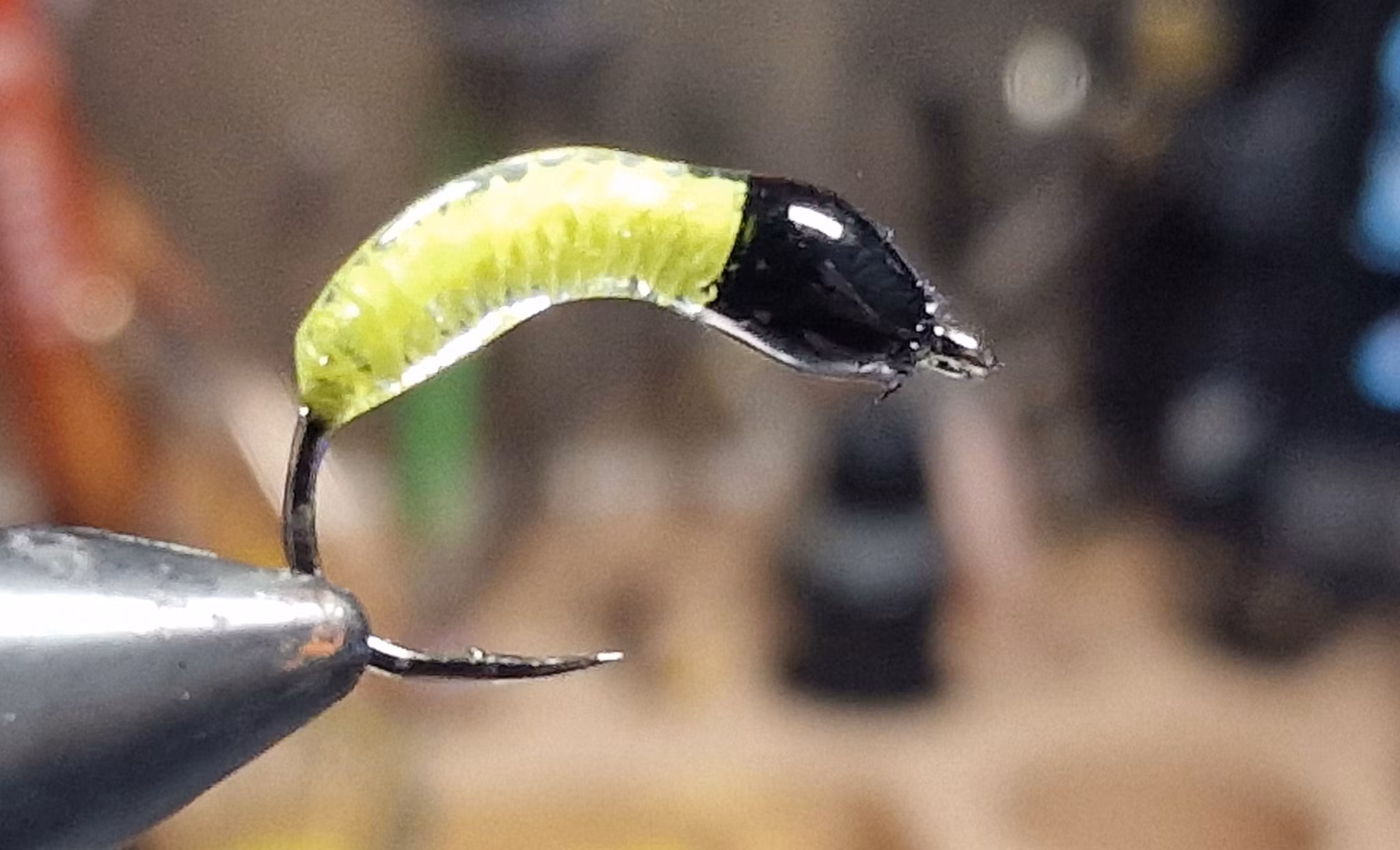 TFISH BLOODWORM LEMON