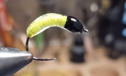 TFISH BLOODWORM LEMON