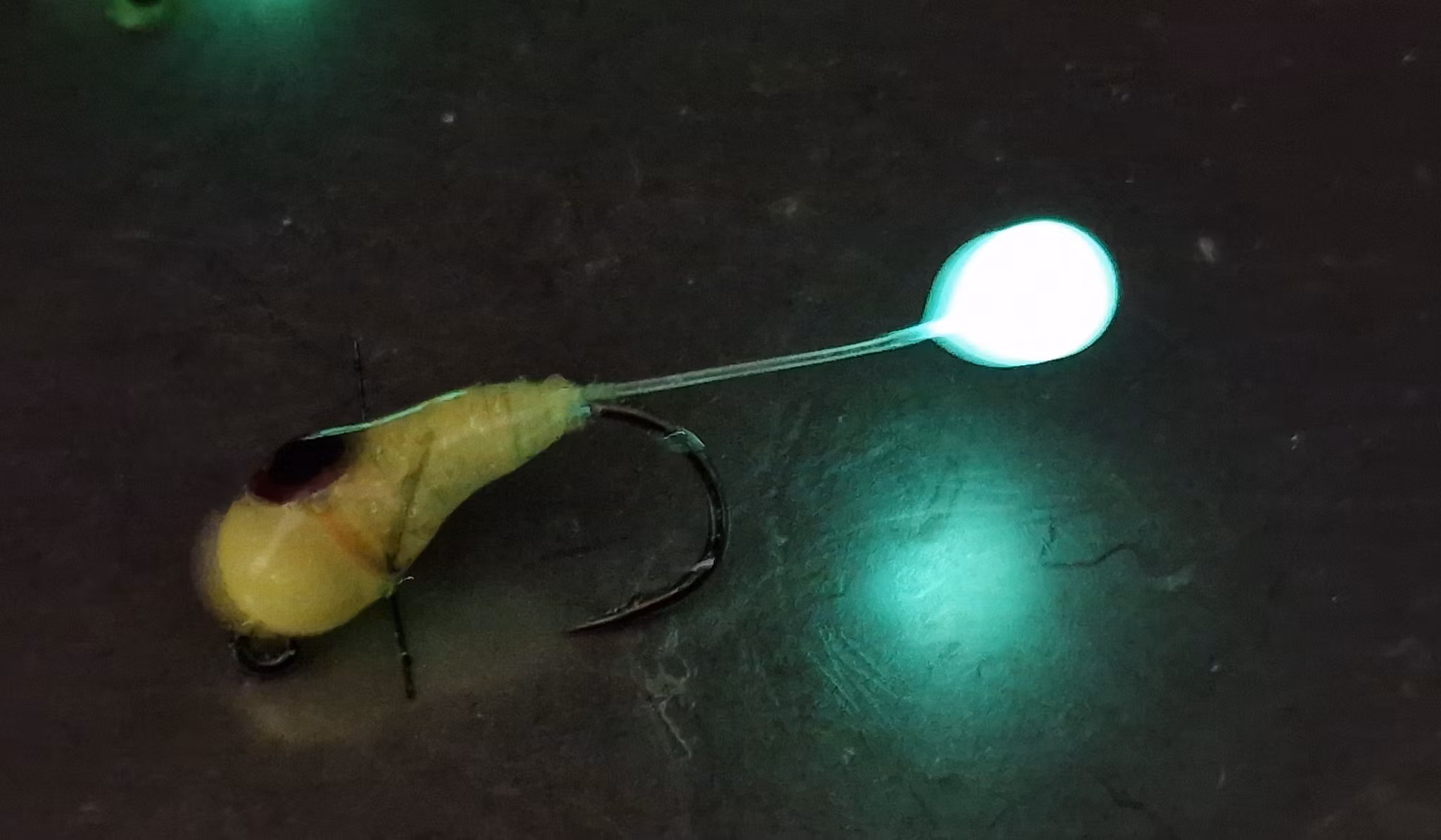 TFISH GIGANT CRITTER "Citronen"  Boing boing glow boll