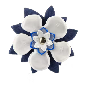 Brooch