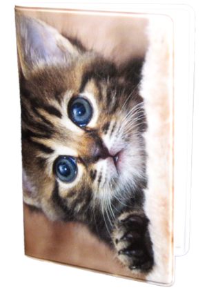 Kattunge 1