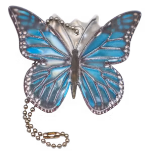 Butterfly Blue wings