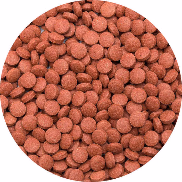 Tropical Breeder Line: Color-Tabin B - Lösvikt