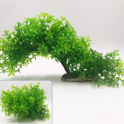 Plastväxt Bacopa 12-21 cm