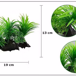 Plastväxt på rot Sagittaria 13 cm
