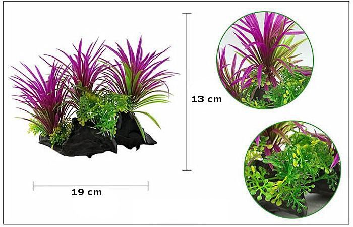 Plastväxt på rot Magenta 13 cm