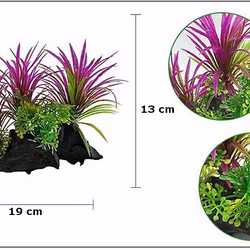 Plastväxt på rot Magenta 13 cm