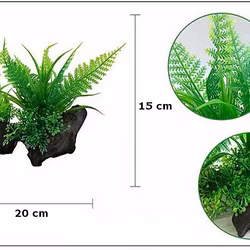 Plastväxt på rot Fern 15 cm