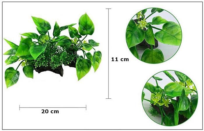 Plastväxt på rot Anubias 11 cm