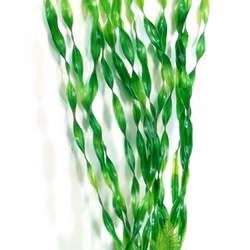 Plastväxt Vallisneria 60 cm