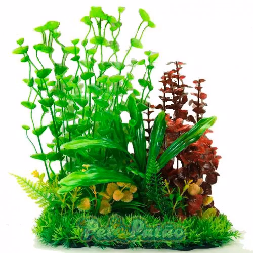 Plastväxt Hydrocotyle 33 cm