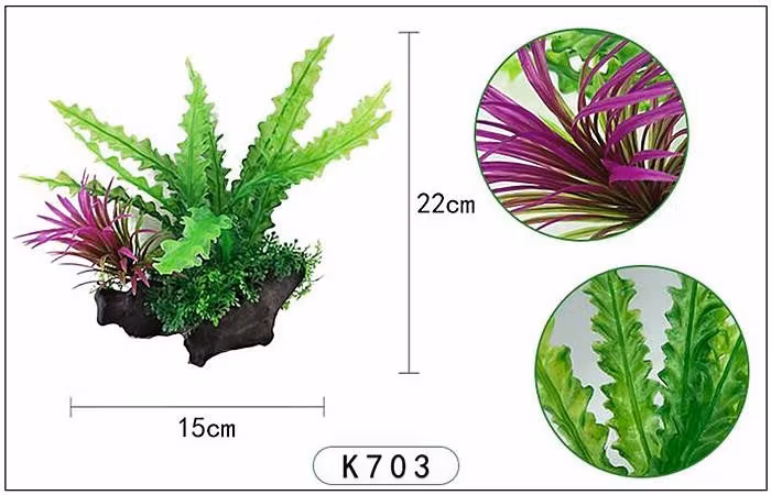 Plastväxt på rot Cryptocoryne 21 cm