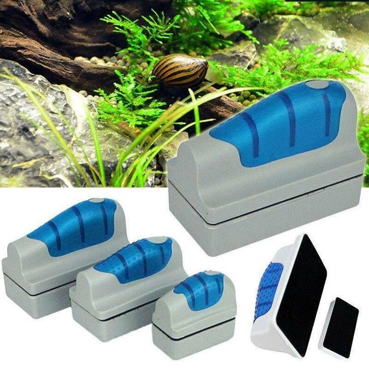 Flytande algmagnet small