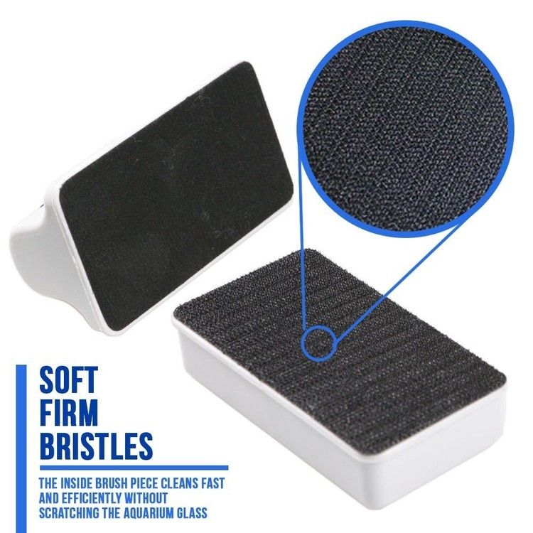 Flytande algmagnet small