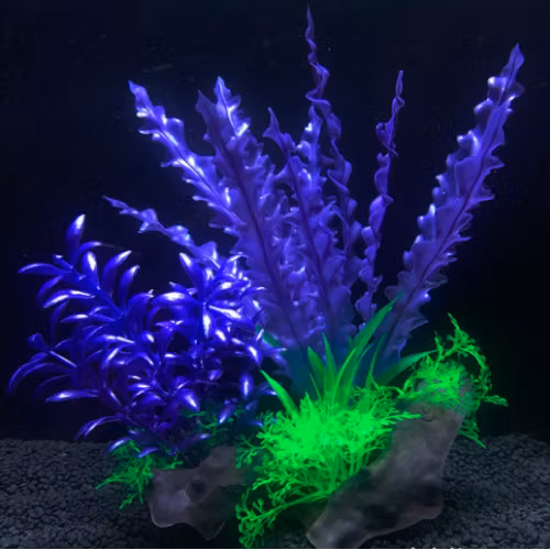 Plastväxt på rot Cryptocoryne blå / lila 21 cm
