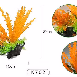 Plastväxt på rot Cryptocoryne orange 21 cm